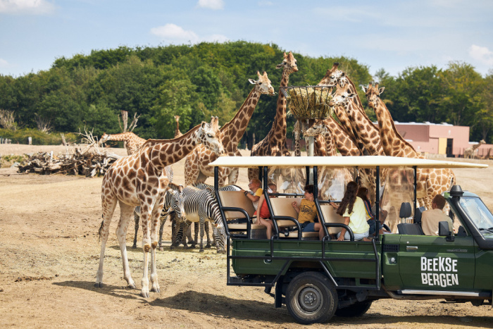safaripark beekse bergen 